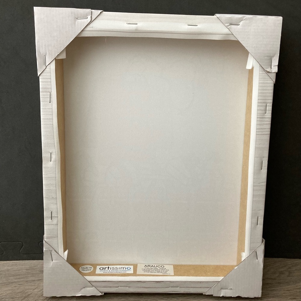 Peanuts Canvas Photo - Picture 2 of 7
